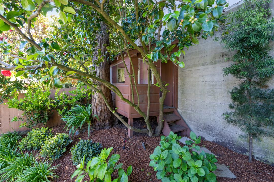 Pacific Heights San Francisco David Armour Treehouse