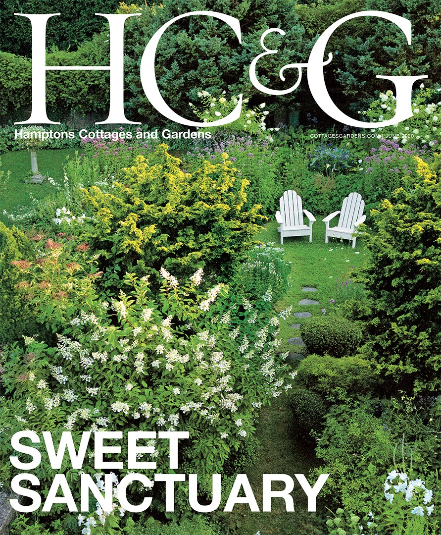 Thumbnail Hc&g Cover 0620