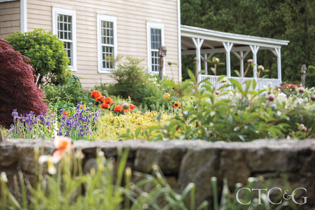 Brad French's Poppies And Irises At His Weston Home
