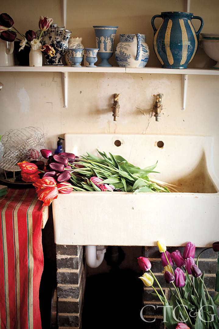 Old Butler Sink With Huge Tulips