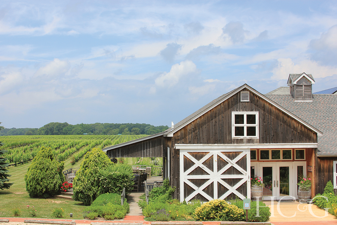 Paumanok Vineyard