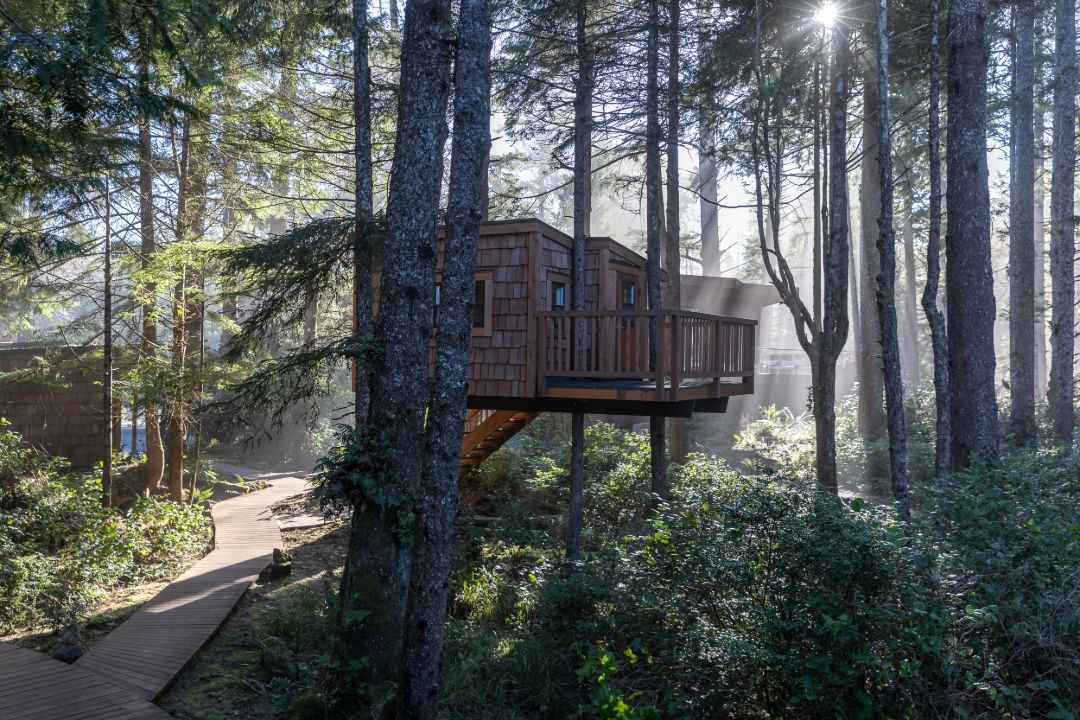 Tofino Canada Waterfront Lodge Estate Treehouse