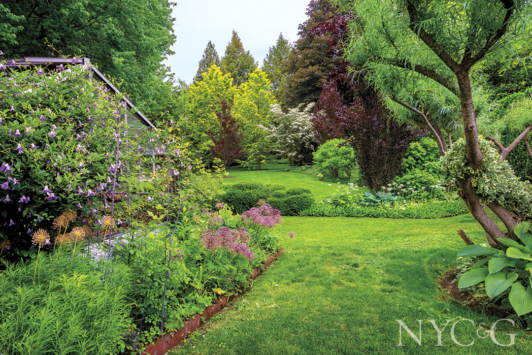 Bevacqua Garden 3162