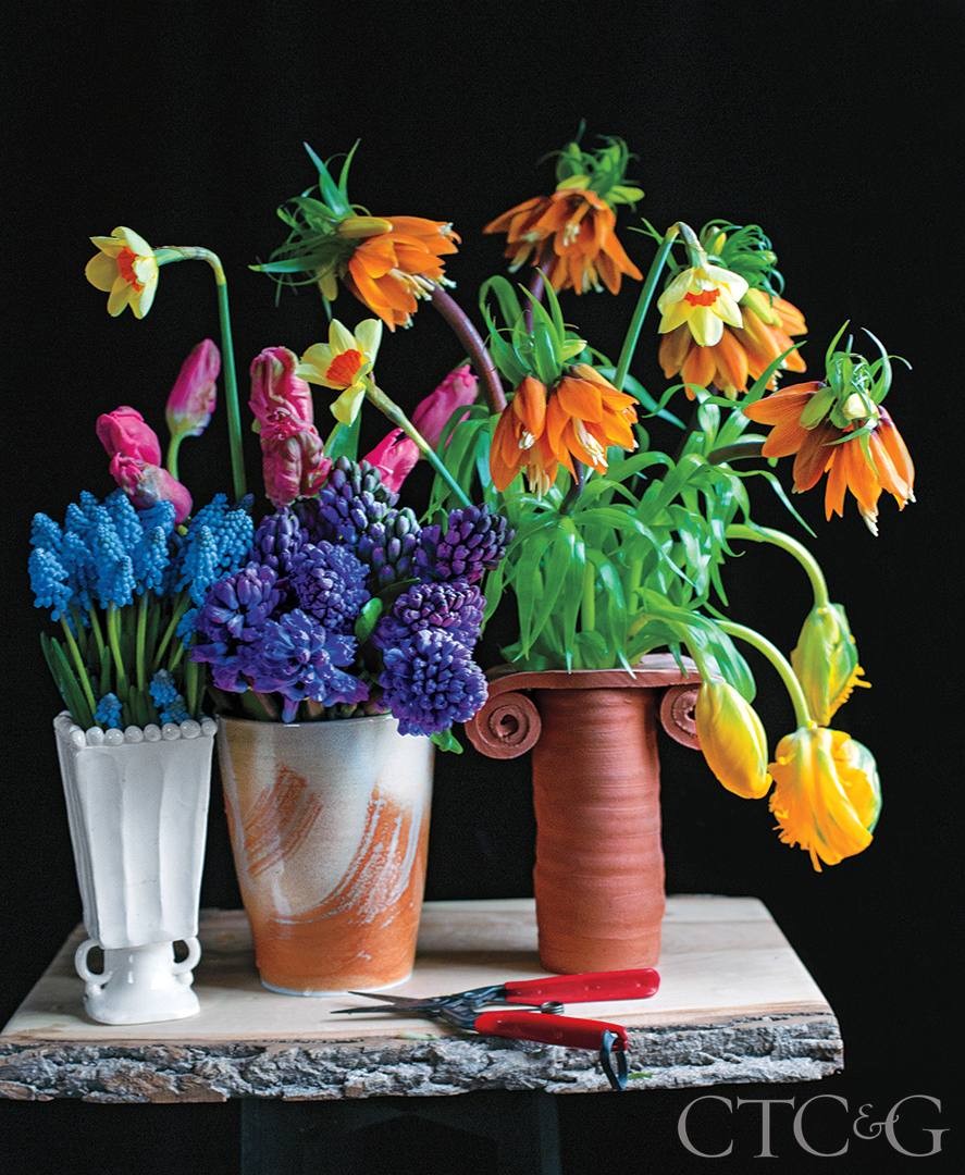 Mix Of White Eearthenware, High Fire Translucent Porcelain And Terra Cotta