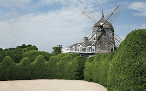 Weiner 35mm 2 301 1024x641