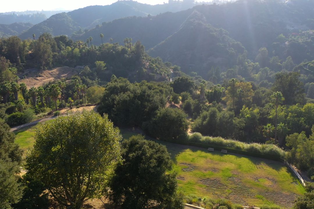 Jon Voight Beverly Hills Aerial I