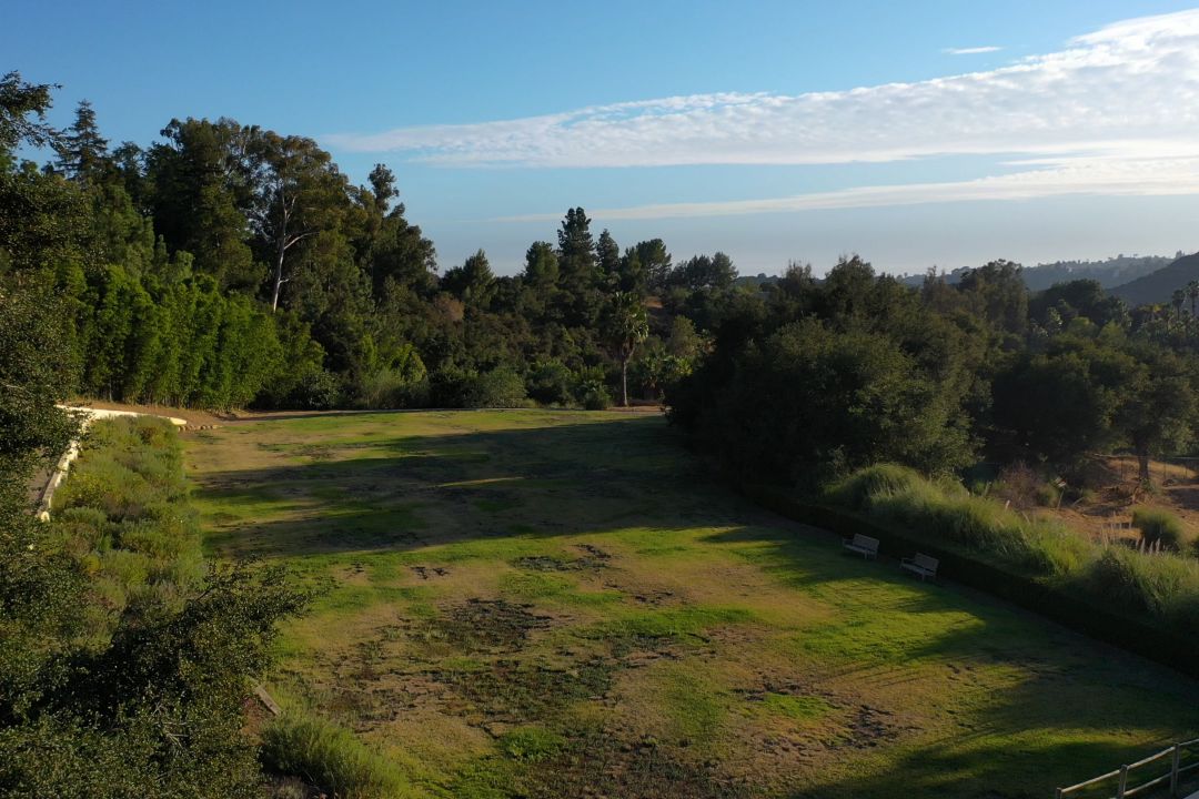 Jon Voight Beverly Hills Lawn