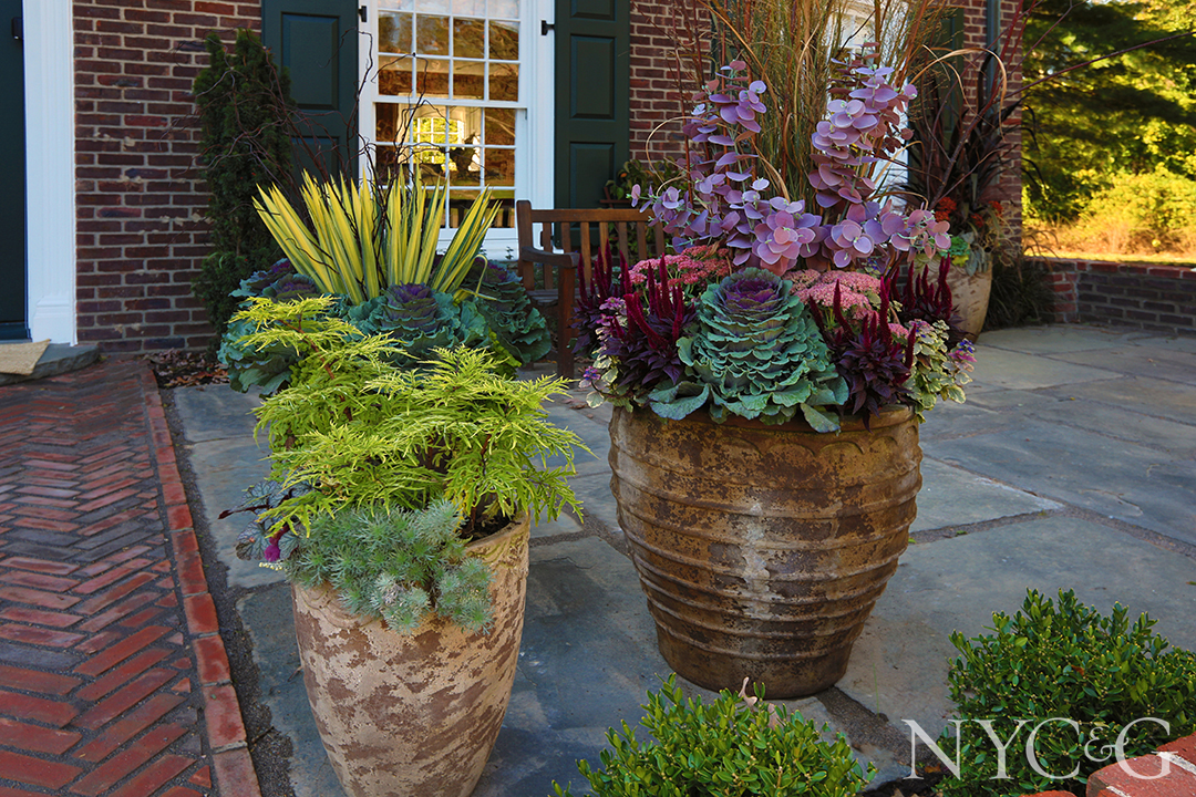 Nyc&g Hicks Landscape (front) 3