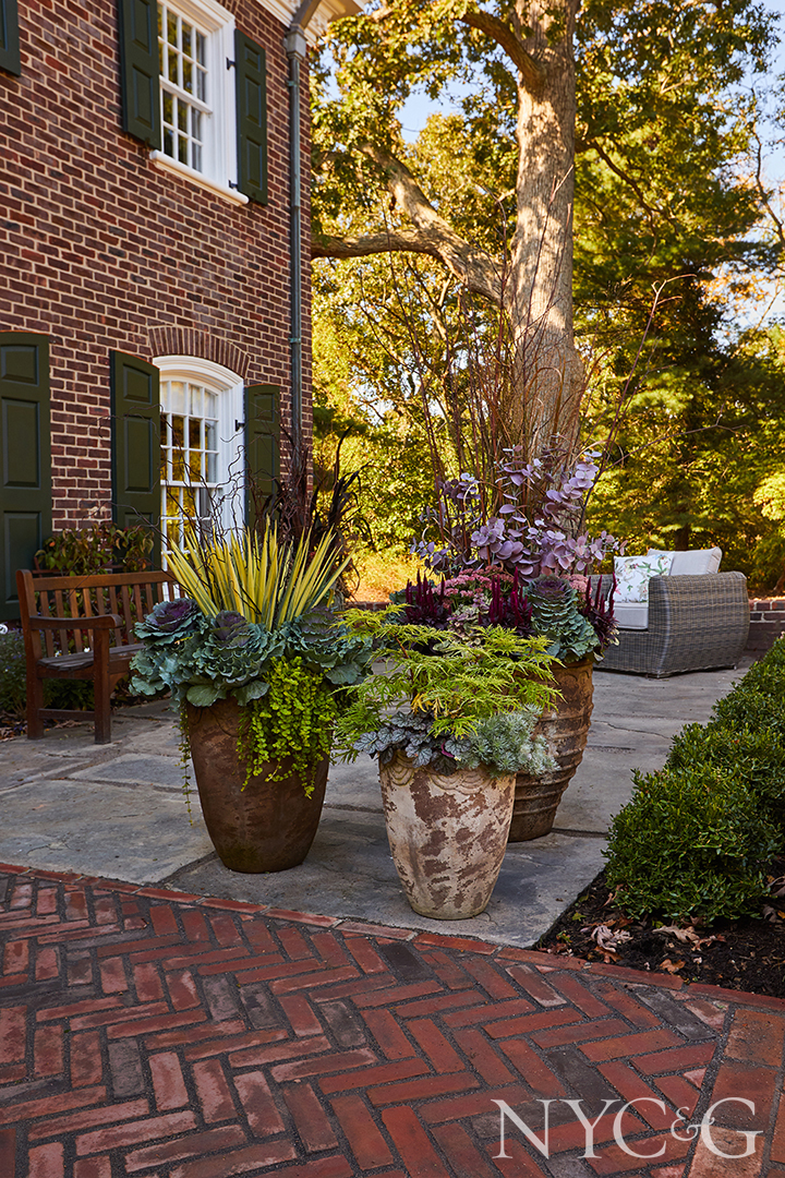 Nyc&g Hicks Landscape (front) 4