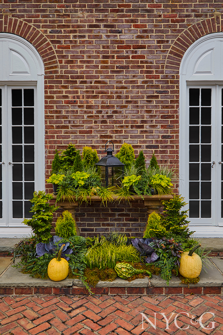 Nyc&g Main Street Nursery Rear Landscape 7