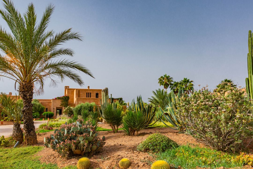 Marrakech Morocco Luxury Villa Grounds