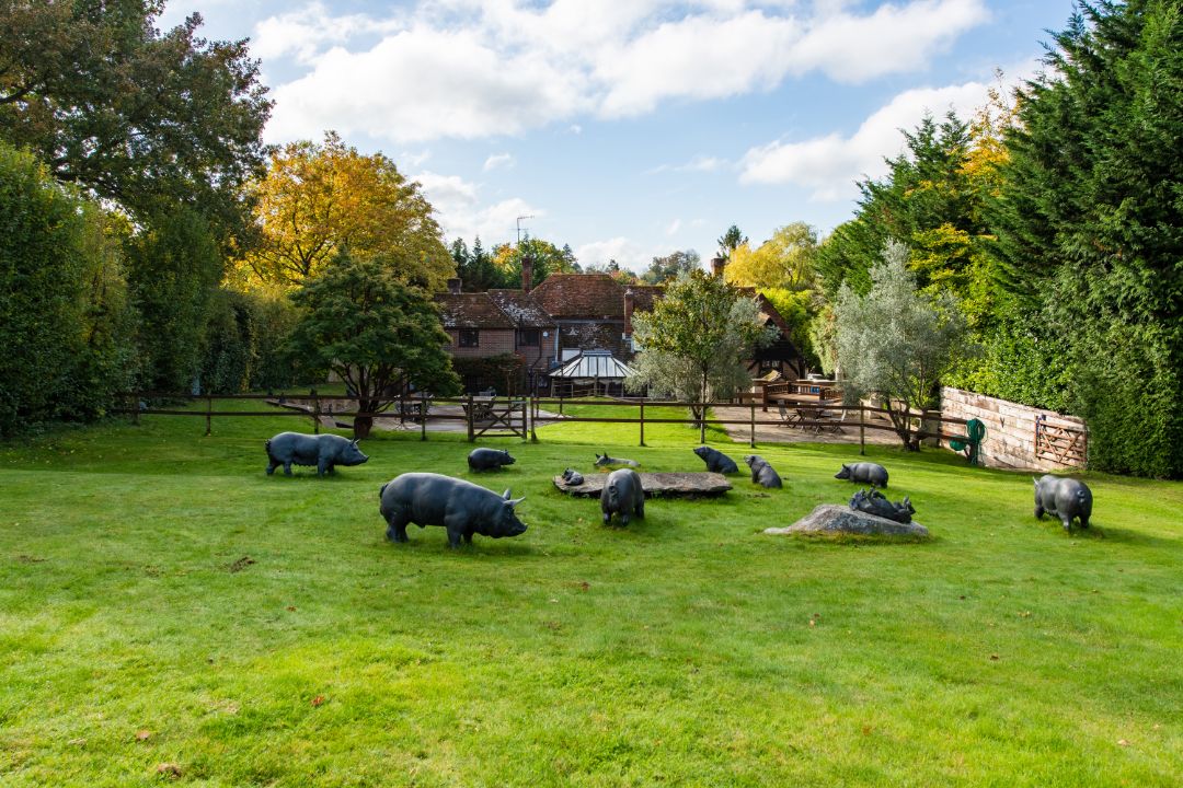 Richard Branson Shamley Green Lawn Sculptures