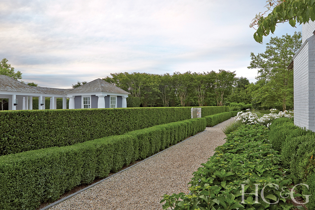 Japanese Holly And Boxwood