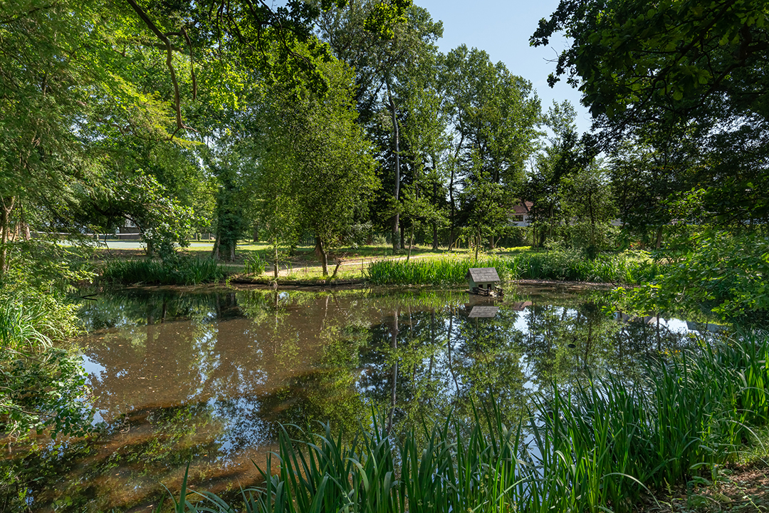 Crown Connections Country Manor Queen Elizabeth I Visited Offers 25 Luxury Apartments Lake