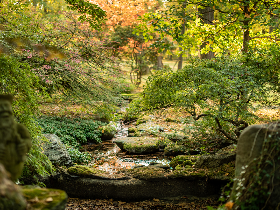 Paul Simons Secluded Haven In New Canaan Lists With A Fresh Price Woods