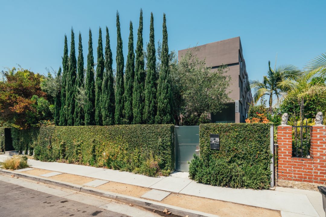 Emilia Clarke Venice Sale Gate