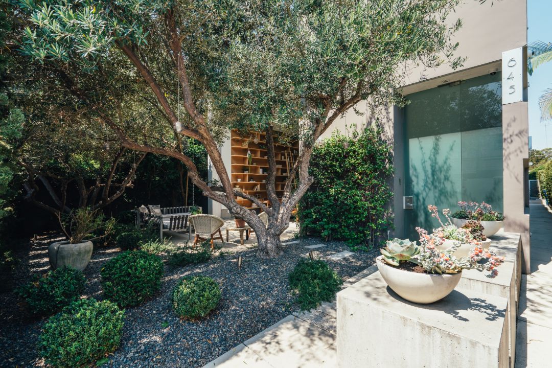 Emilia Clarke Venice Sale Lanscaping