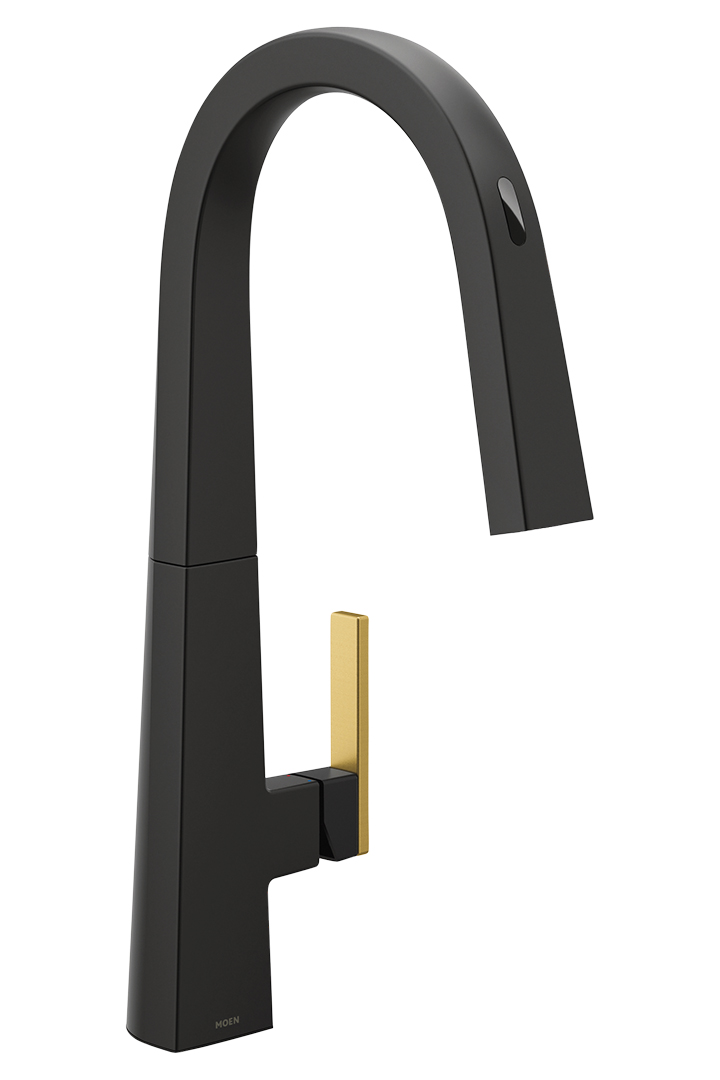 Moen Faucet