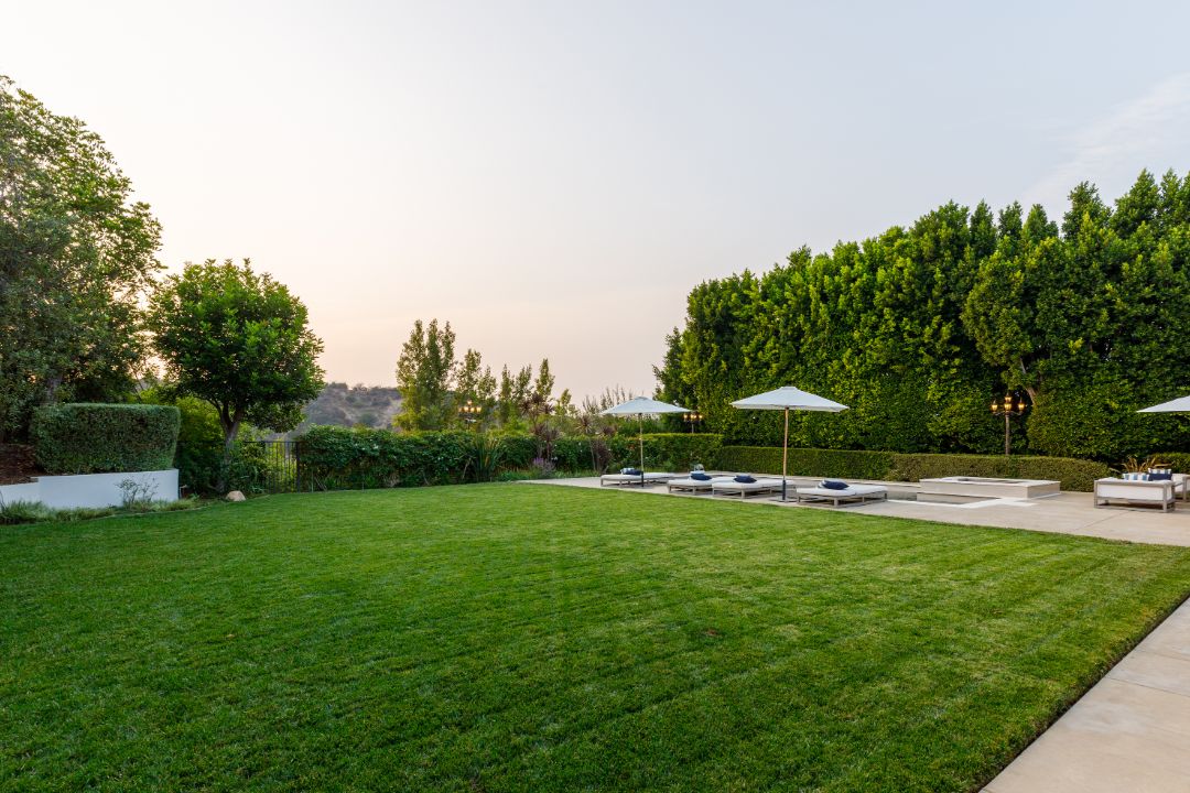 Big Sean Beverly Hills Backyard
