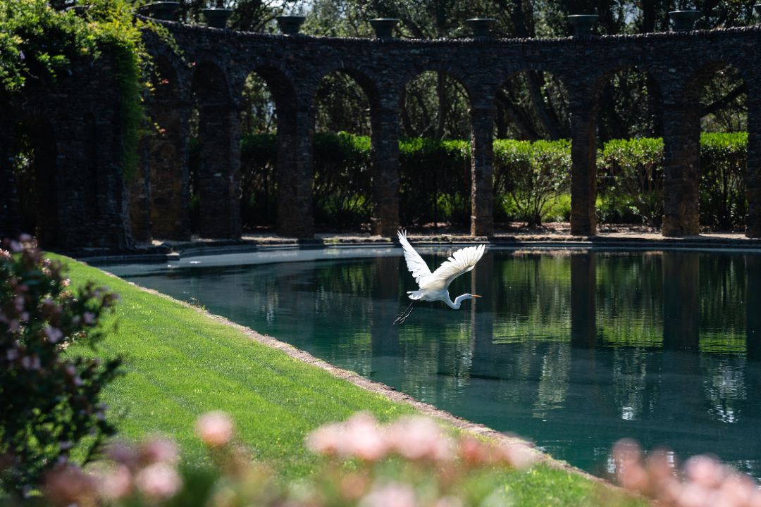 Green Gables California Estate Pool