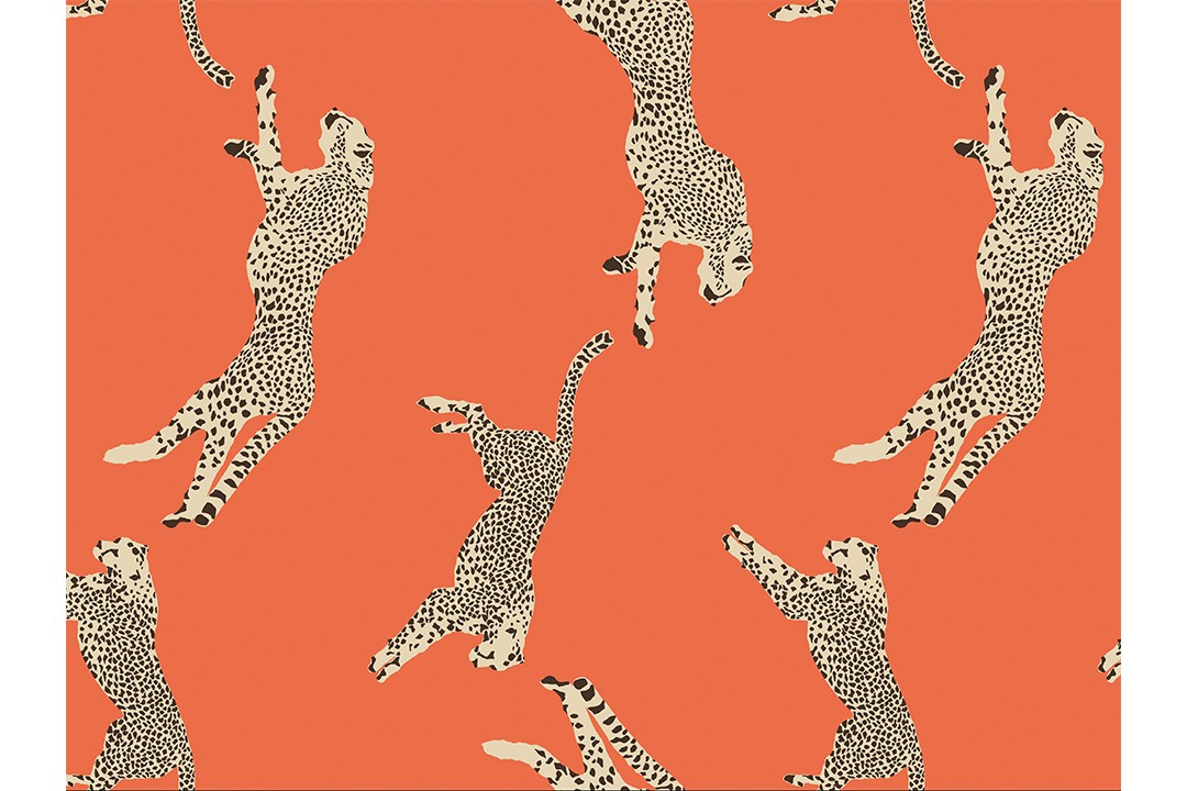 Scalamandre Zebra Pattern