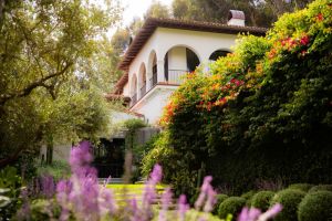 Shane Smith Vice Santa Monica Estate Lawn