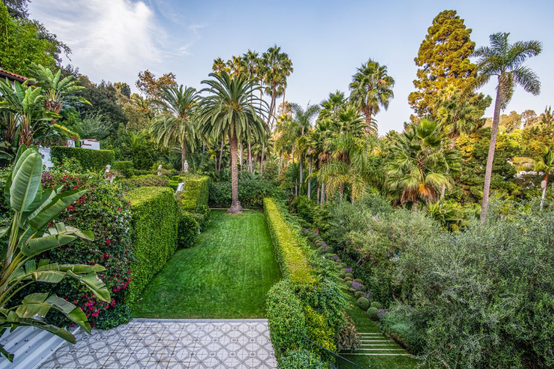 Shane Smith Vice Santa Monica Estate Landscaping II Hedges