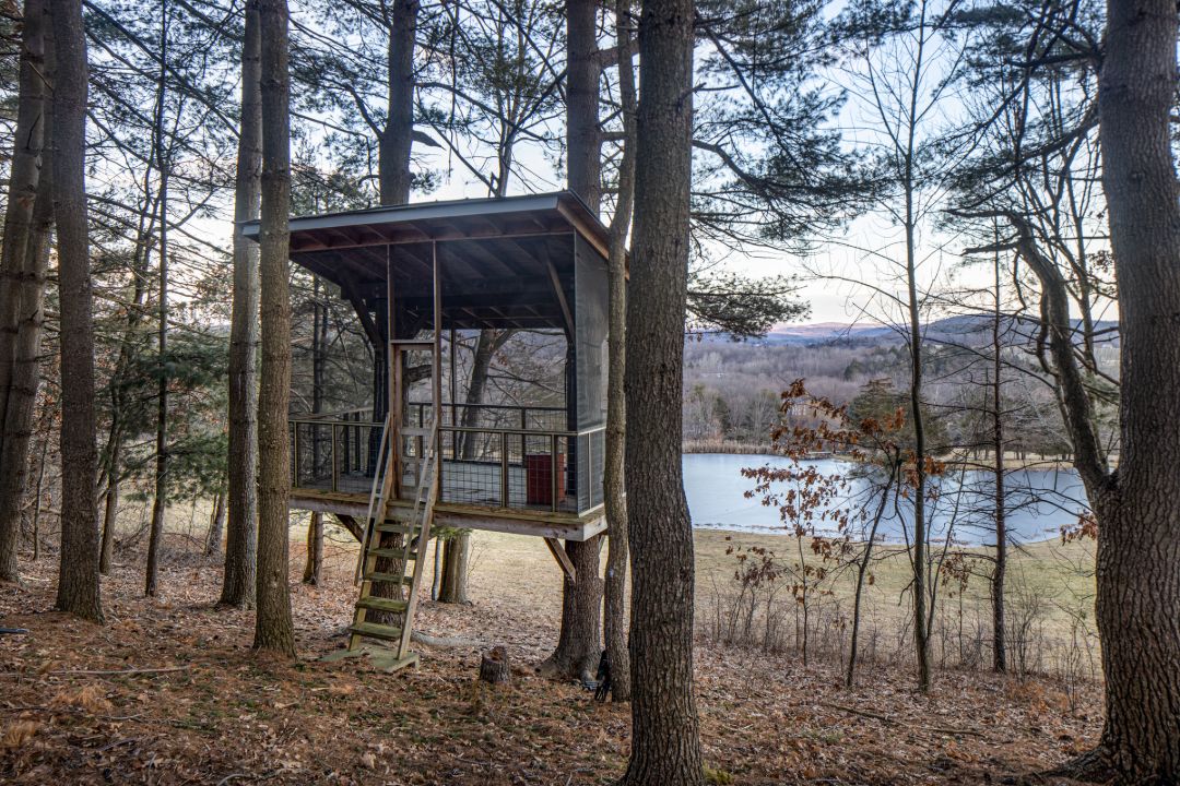 Susan Orlean Upstate Ny Contemporary Tree House