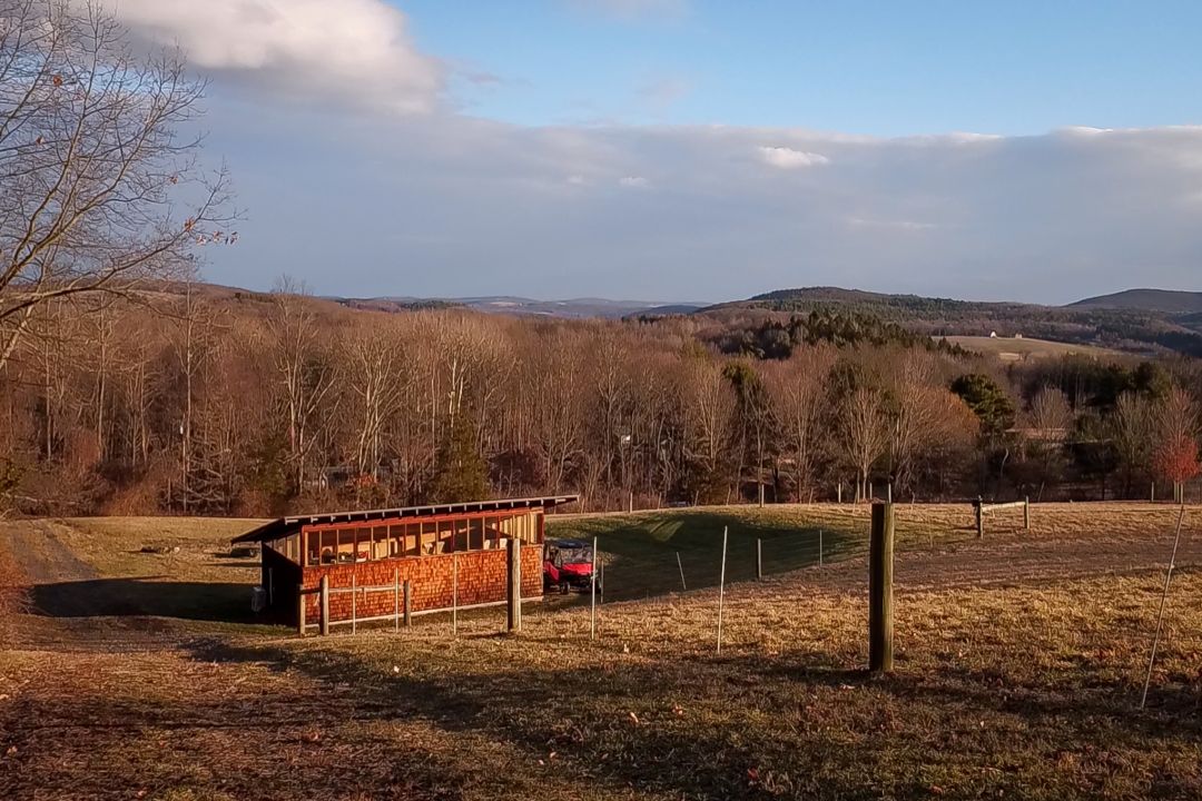 Susan Orlean Upstate Ny Contemporary Writer's Studio Golden Hour