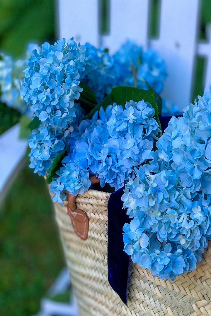 A Change In Course How Merze Lifestyle Was Born Hydrangeas