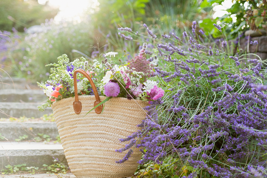 A Change In Course How Merze Lifestyle Was Born Photo By Anna Hoychuk Product 1080 X 720