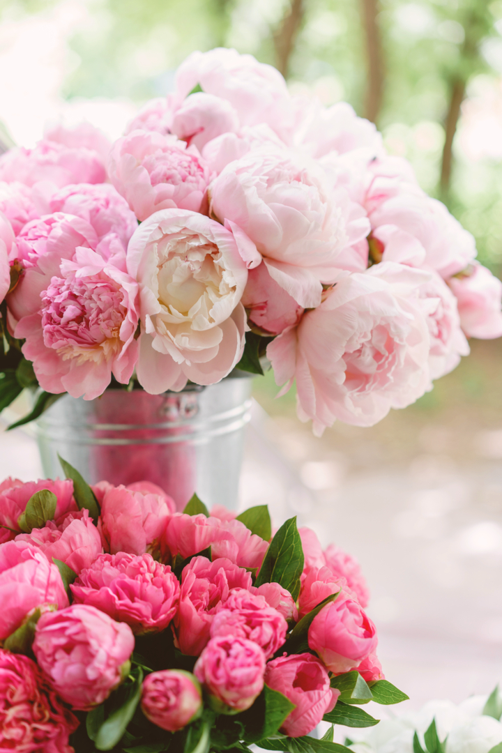 A Change In Course How Merze Lifestyle Was Born Photo By Fusion Studio 720 X 1080