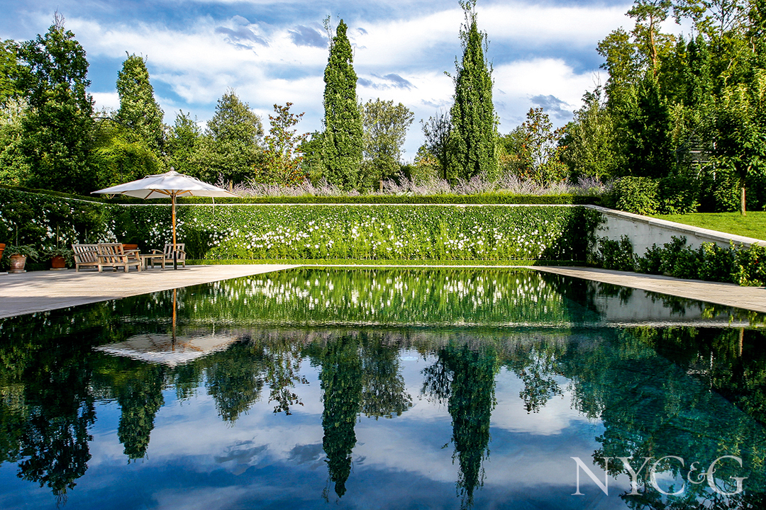 Inground Pool Surrounded By Greenery