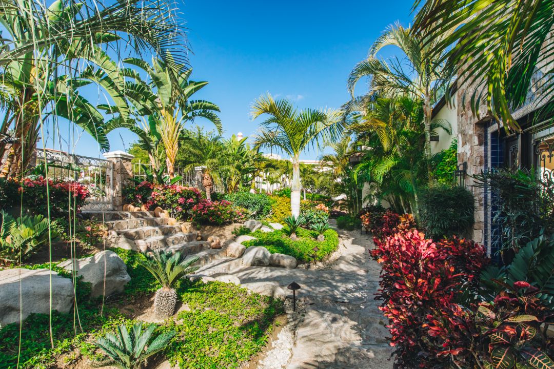 Casa Escondida San Jose Del Cabo Grounds
