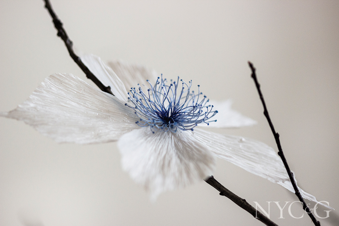 White And Blue Flower