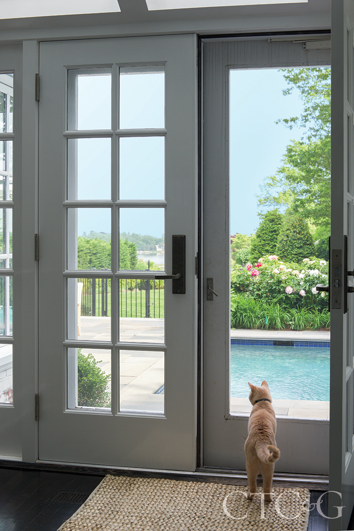 Cat Looking Out Of The Window