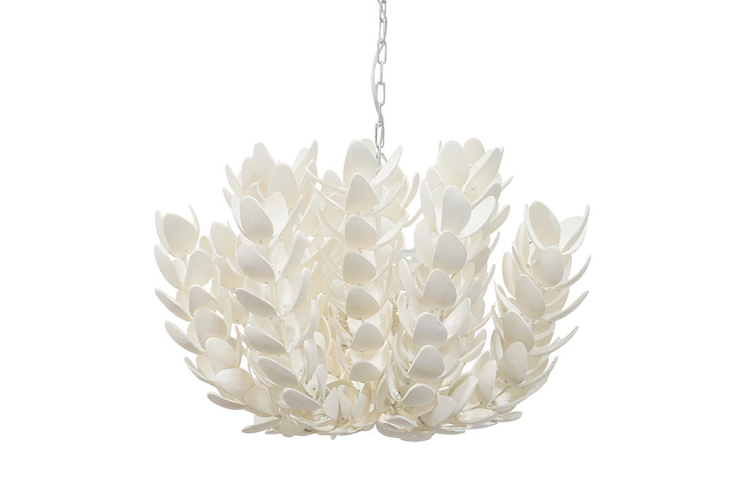 Hand Cut Coco Shells