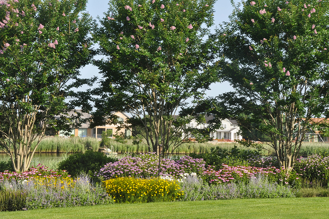 Harmonia Creates A Garden Sanctuary In Water Mill Trees