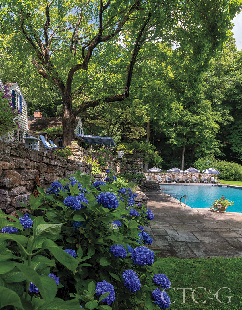 Blue Hydrangea In Backyard At Alice Delamars Weston Estate