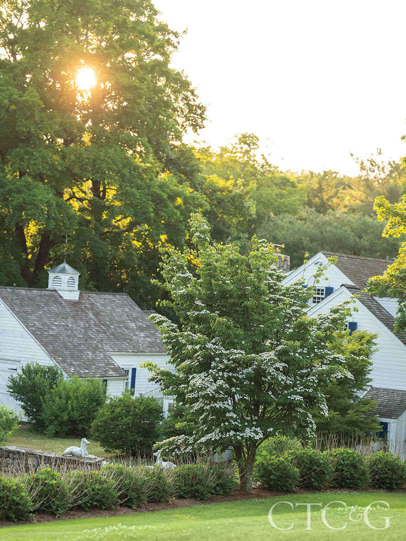 Sunrise At Connecticut Home Garden