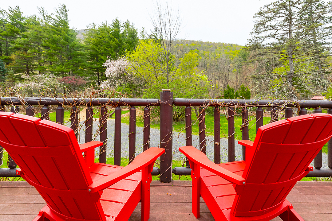 Kate Pierson Of The B 52s Lists Whimsical New York Estate Chairs