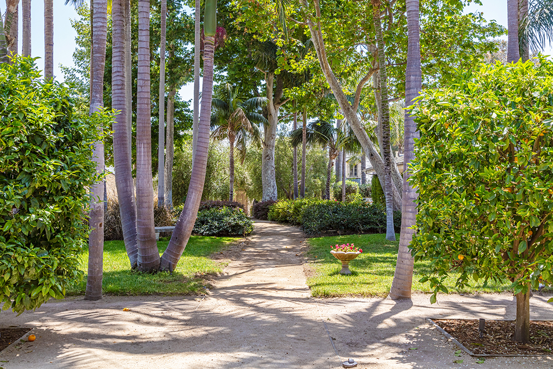 Former Opi Executives Malibu Stunner Redesigned By Amber Lewis Seeks 24 5m Pathways