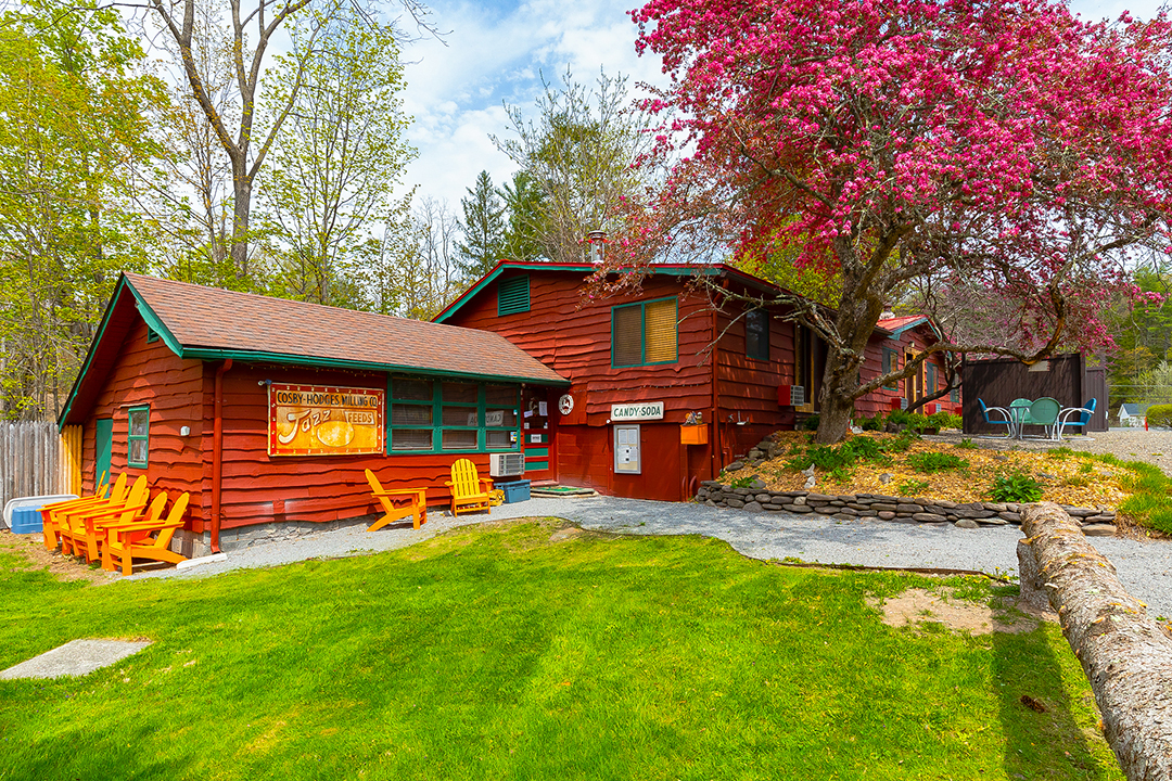 Kate Pierson Of The B 52s Lists Whimsical New York Estate Cabin C