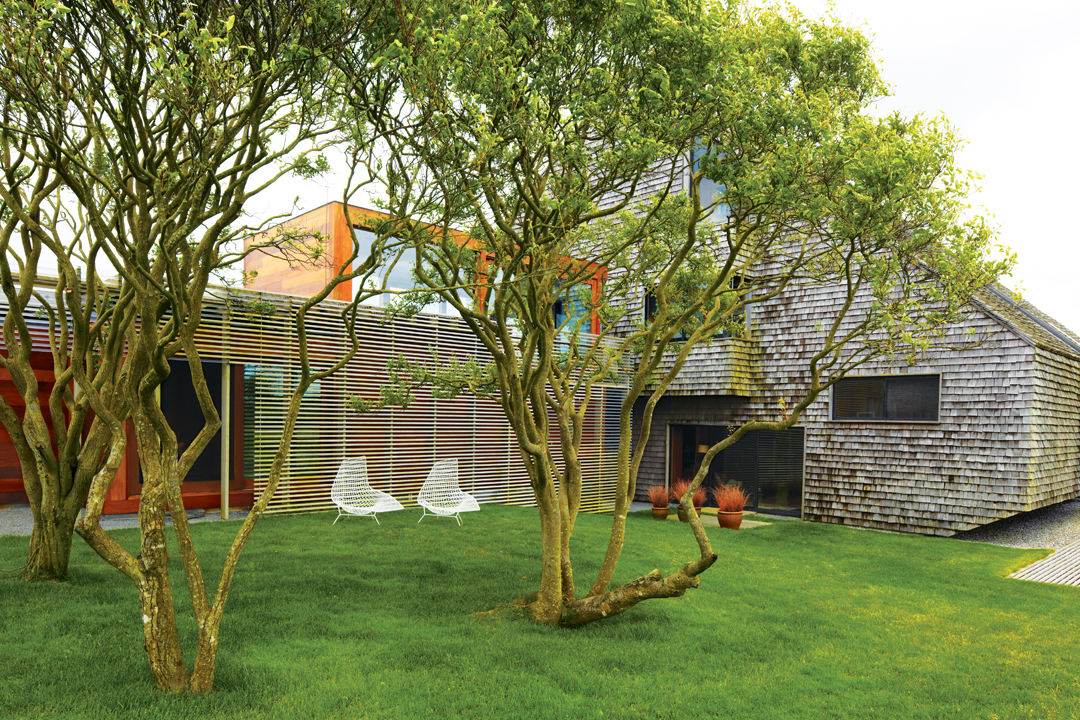 Why Native Plants Will Boost Your Garden Design