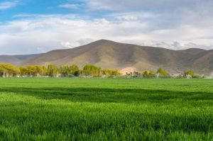 Robert Redford Lists Utah Horse Whisper Ranch Mountain View