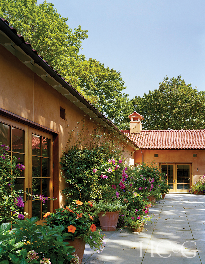Potted Plants Lining Outdoor Terrace