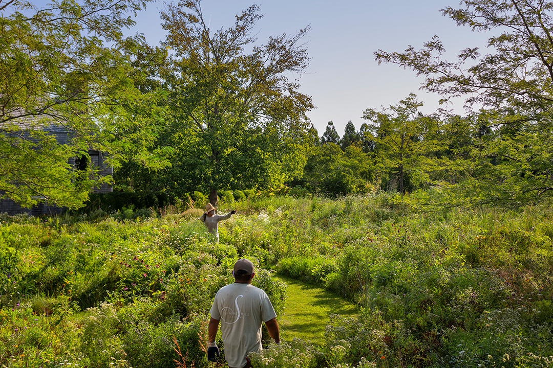 Tour Stunning Landscapes Of The Hamptons Created By Summerhill Photographer Anthony Crissafulli 7