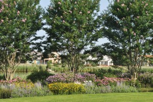 Tips For Planting The Perfect Perennial Border