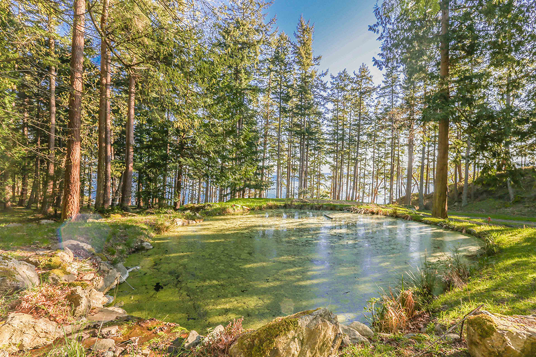 Oprah Winfrey Sells Dreamy Waterfront Estate On Orcas Island For 14m Pond