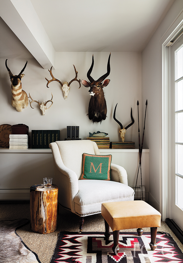 Animal Trophies Interior Design